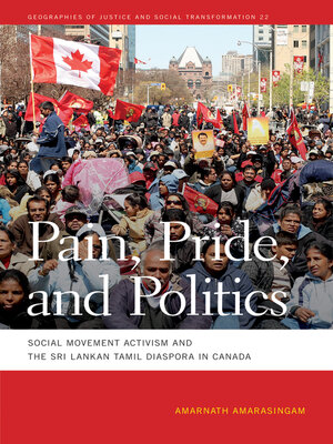 cover image of Pain, Pride, and Politics